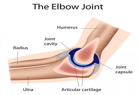 Elbow Surgery