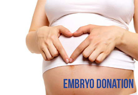 Embryo Donation