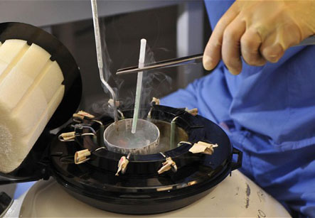 Frozen Embryo Transfer FET