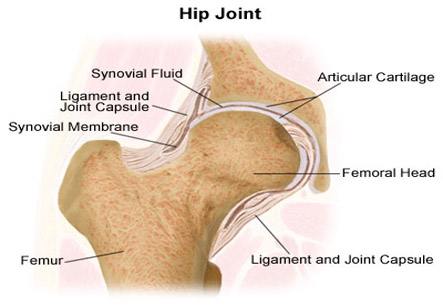 Hip Injection
