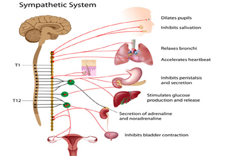 Neuroblastoma